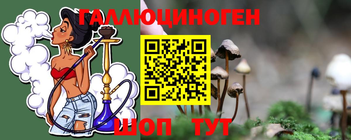 Псилоцибиновые грибы прущие грибы  Галлюциногенные грибы Psilocybe  Вход с VPN  Менделеевск 